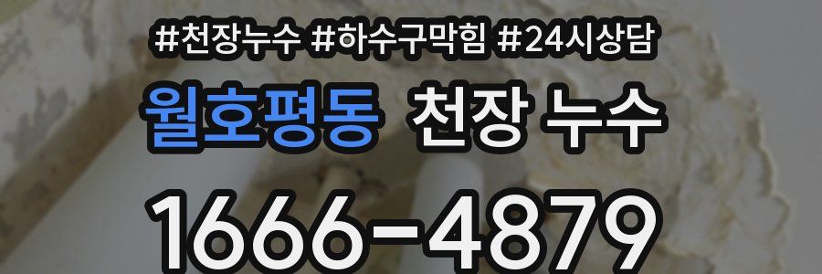 월호평동 천장 누수