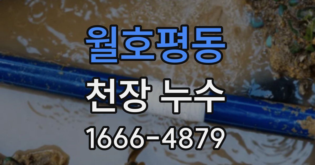 월호평동 천장 누수