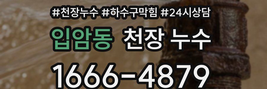 입암동 천장 누수