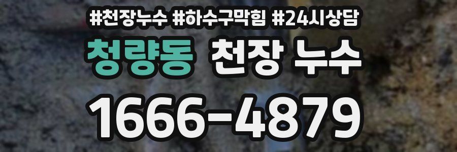 청량동 천장 누수