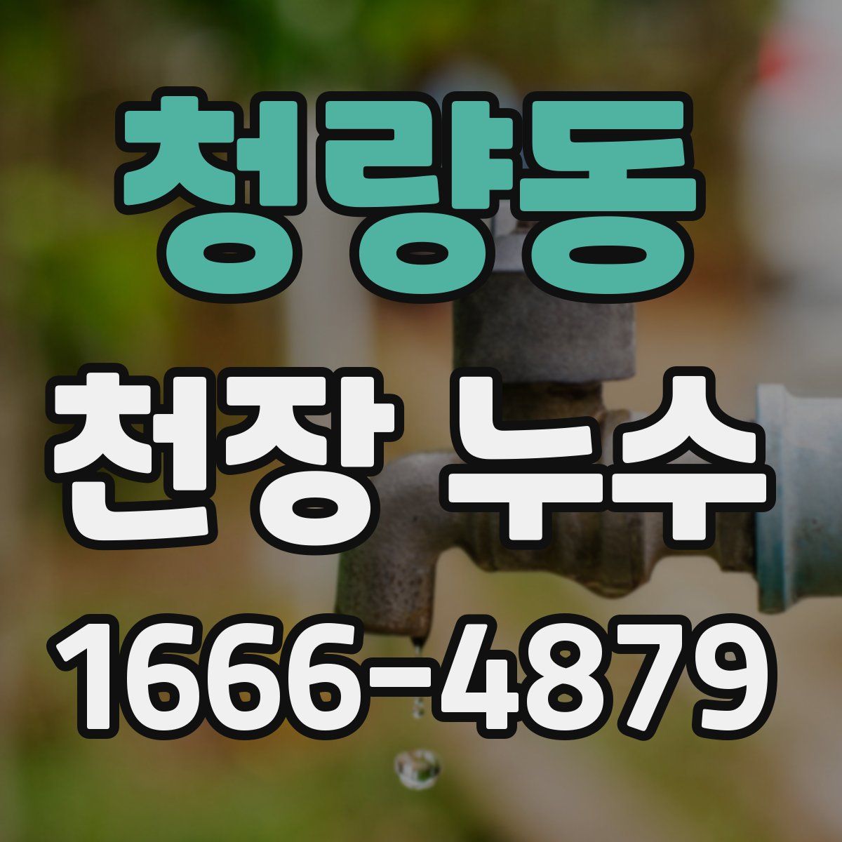 청량동 천장 누수