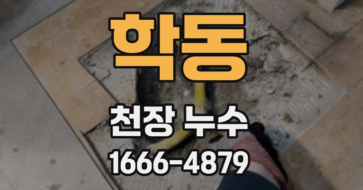 학동 천장 누수