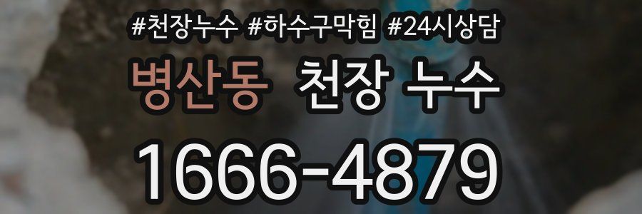 병산동 천장 누수