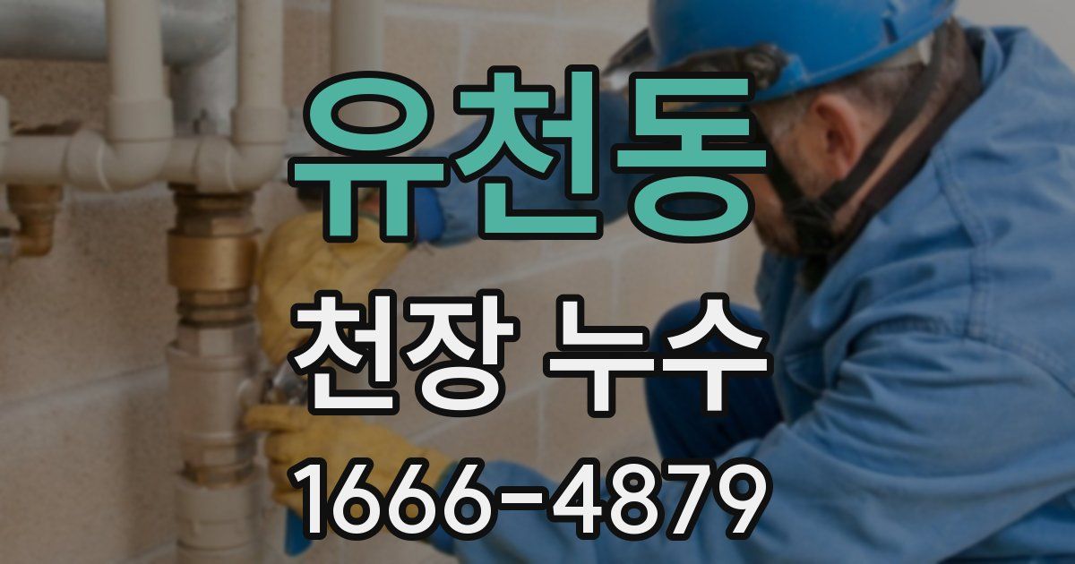 유천동 천장 누수