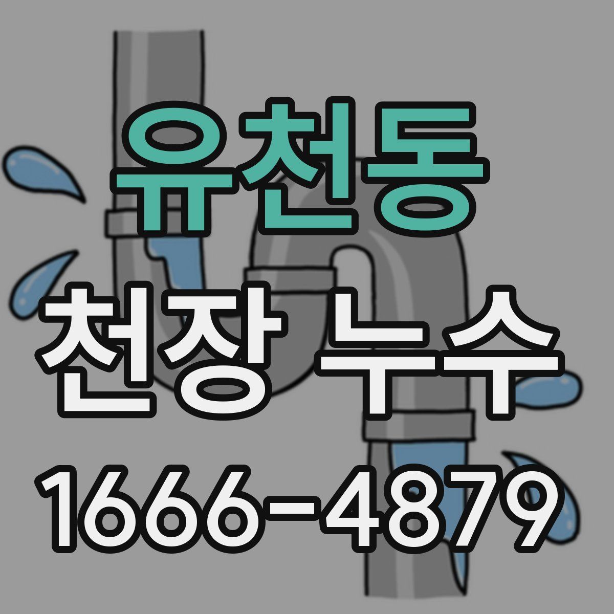 유천동 천장 누수