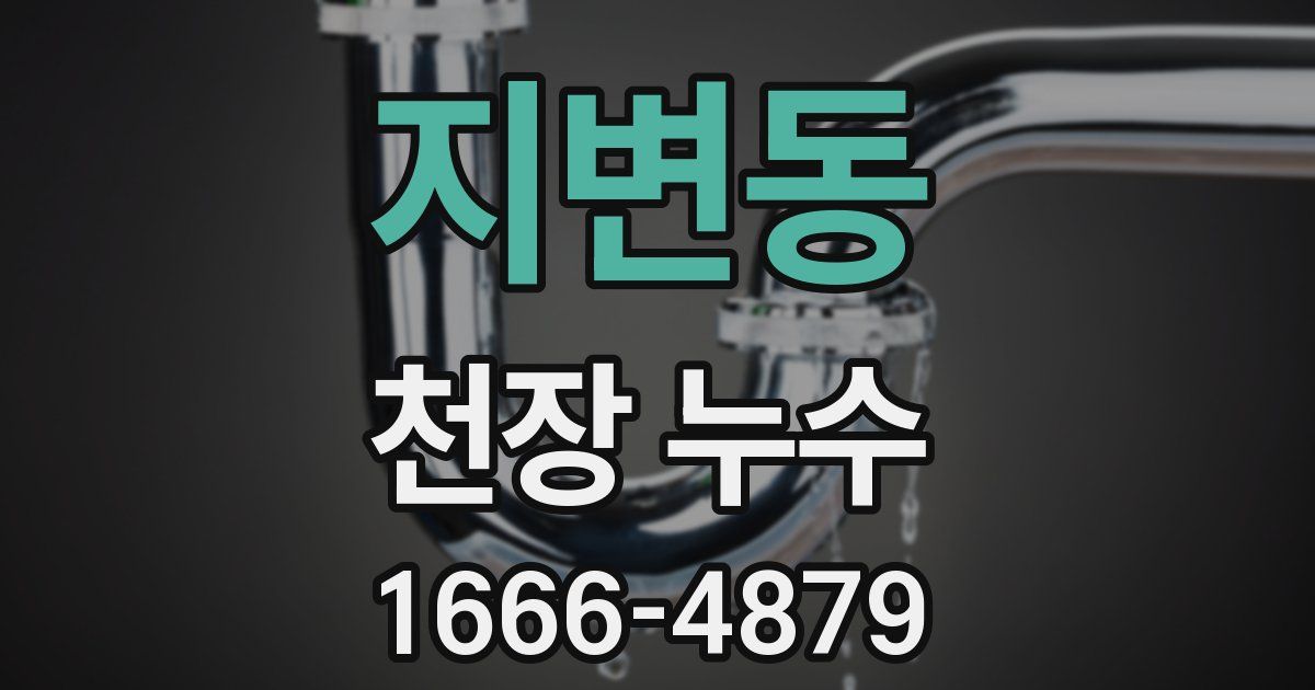 지변동 천장 누수