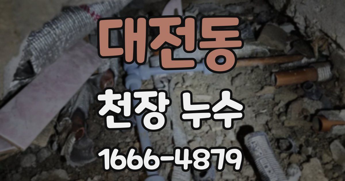 대전동 천장 누수