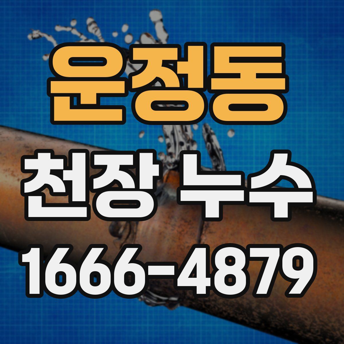 운정동 천장 누수