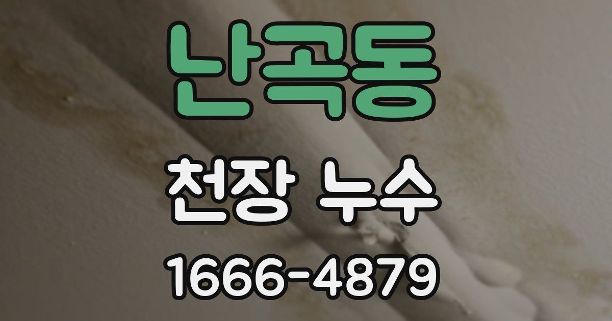 난곡동 천장 누수