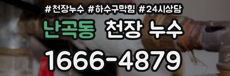 난곡동 천장 누수