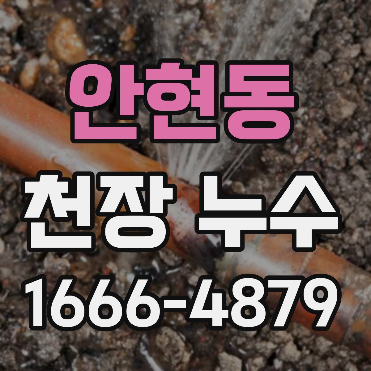 안현동 천장 누수