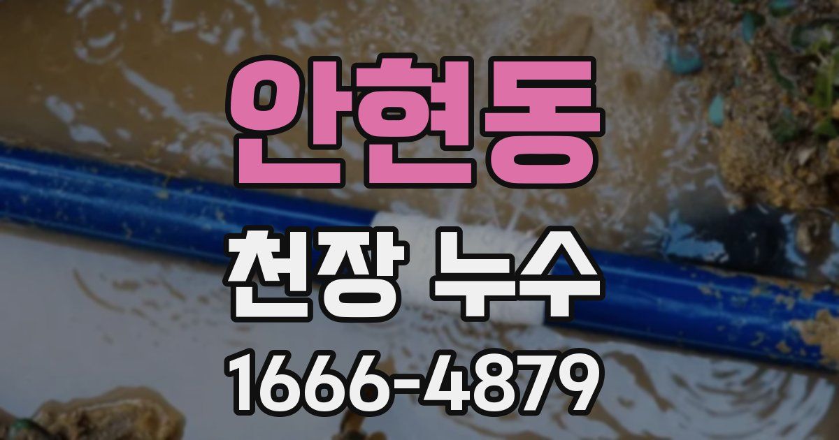 안현동 천장 누수