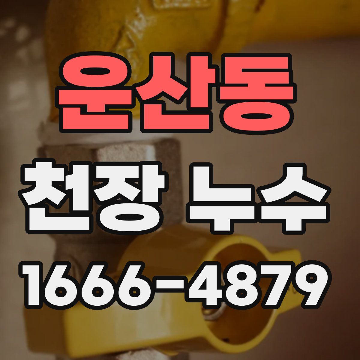 운산동 천장 누수