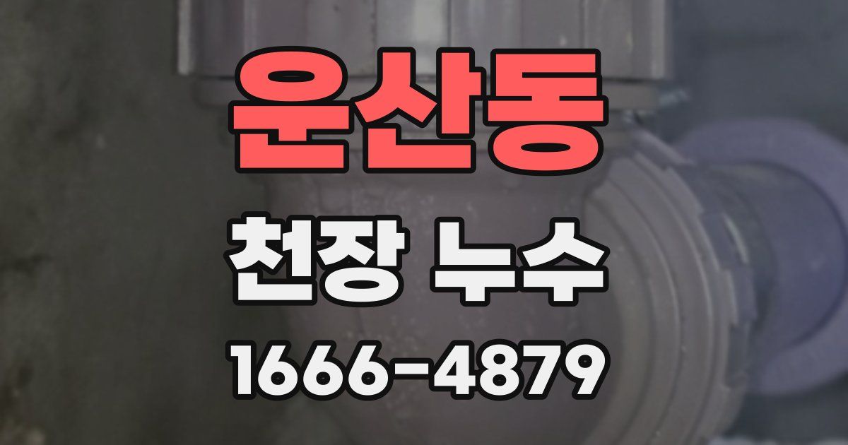 운산동 천장 누수