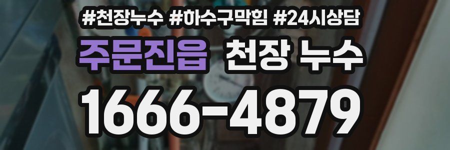 주문진읍 천장 누수