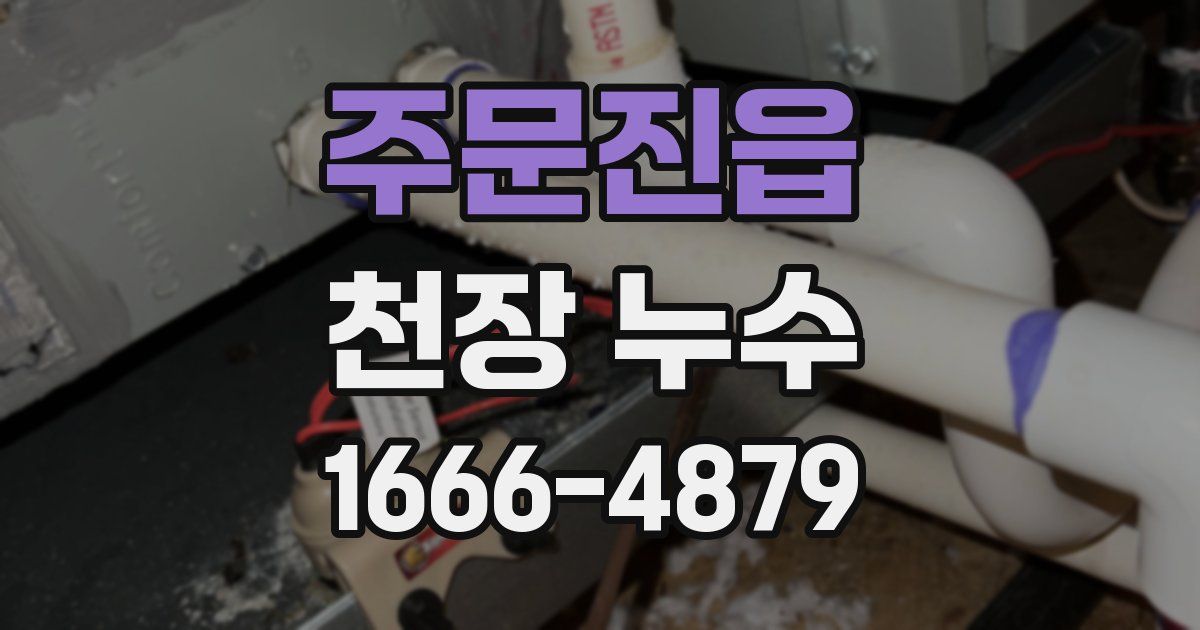 주문진읍 천장 누수