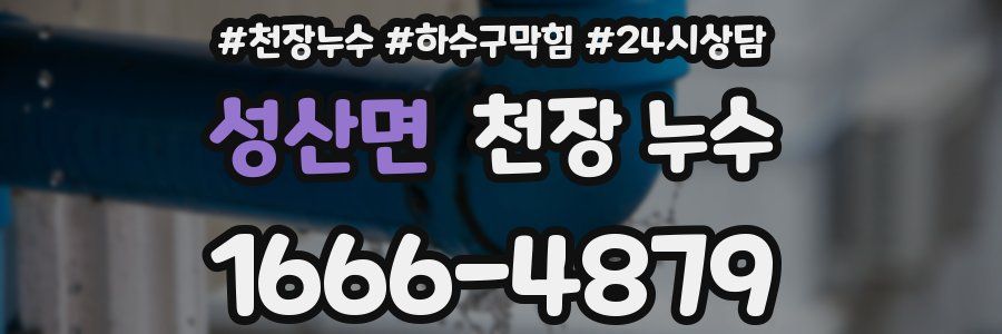 성산면 천장 누수