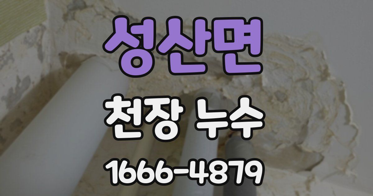 성산면 천장 누수
