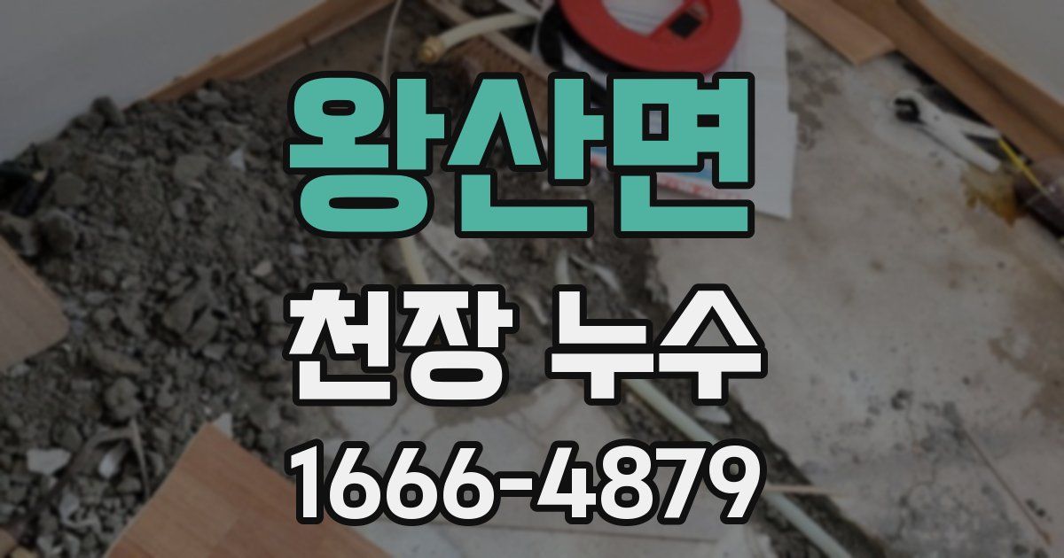 왕산면 천장 누수