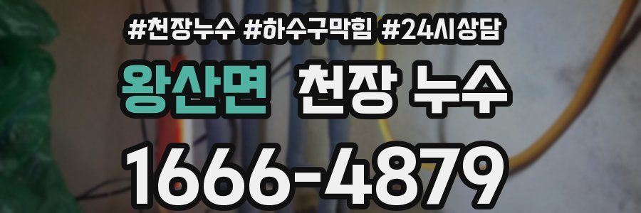 왕산면 천장 누수