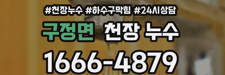 구정면 천장 누수