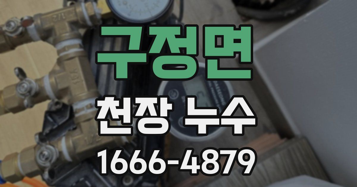 구정면 천장 누수