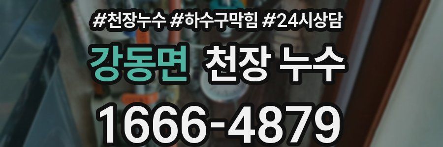 강동면 천장 누수