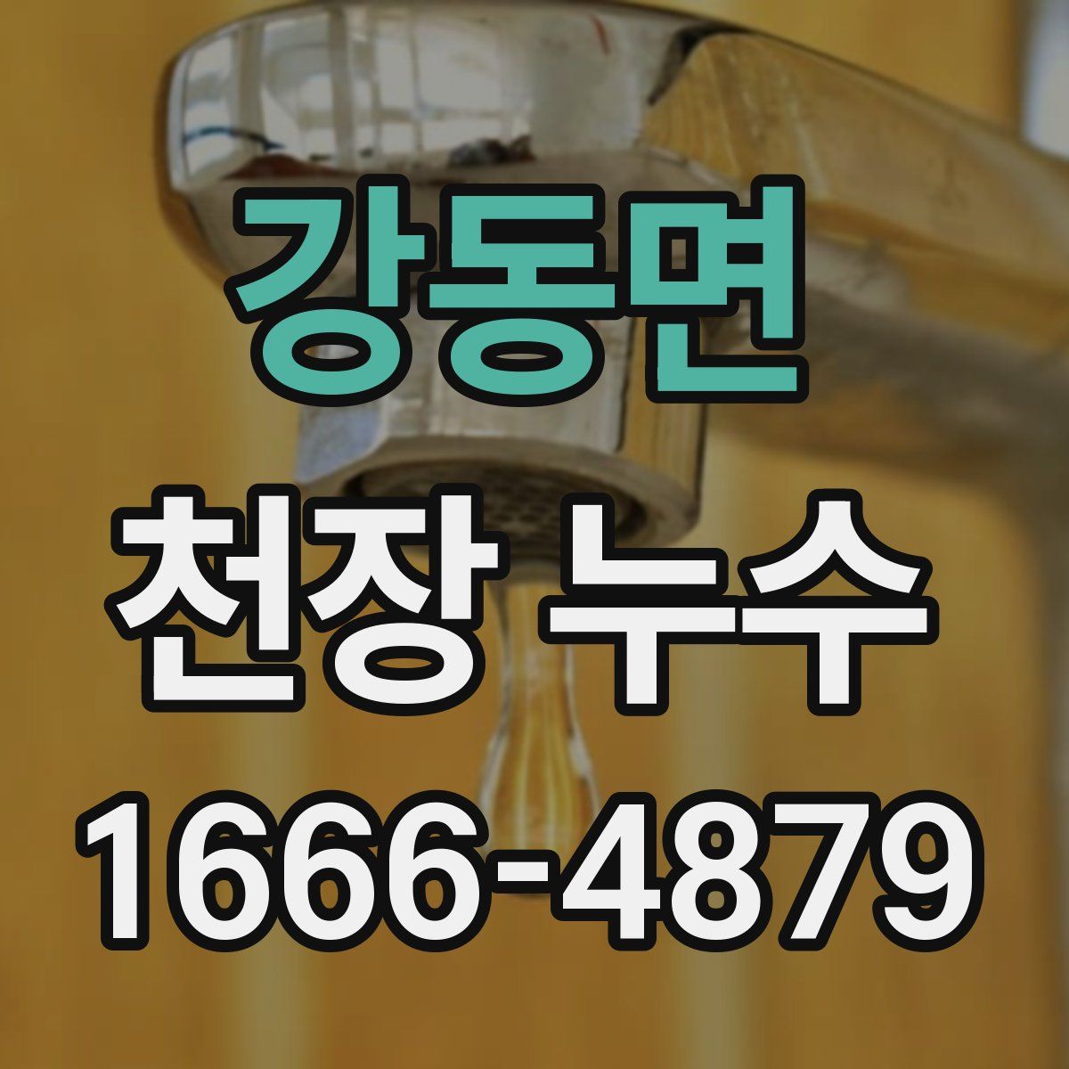 강동면 천장 누수