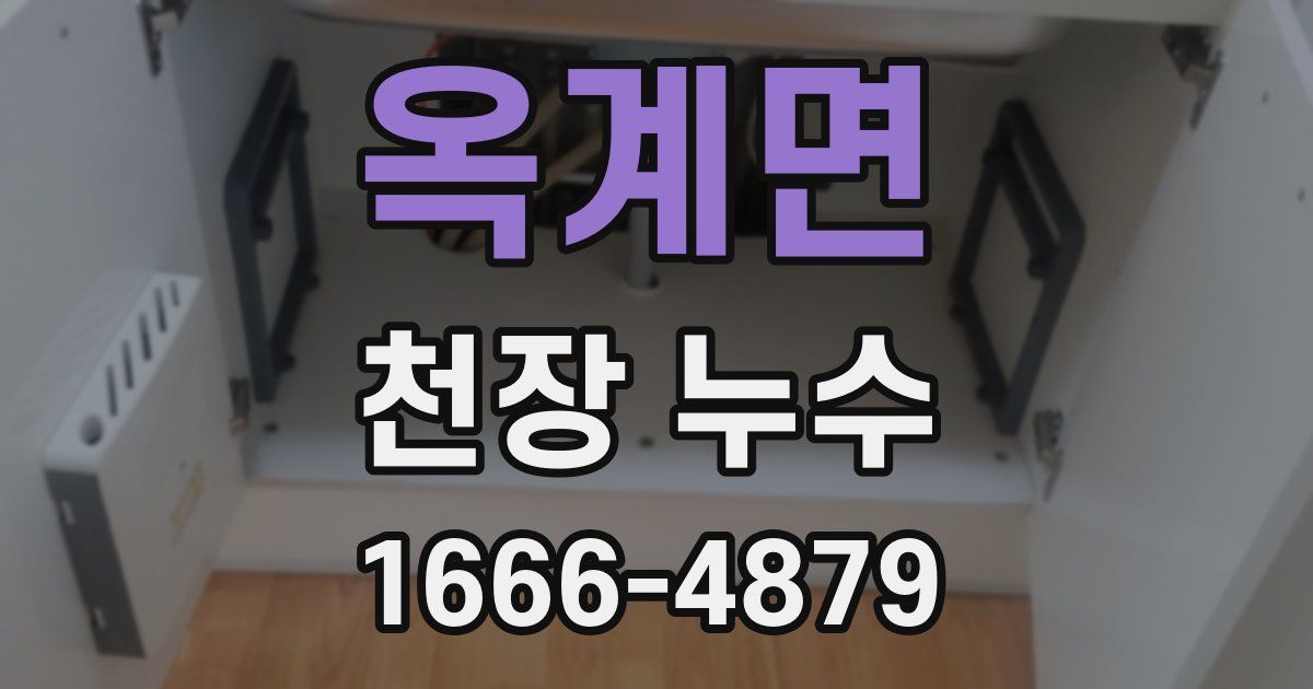 옥계면 천장 누수