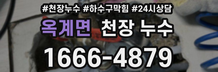 옥계면 천장 누수