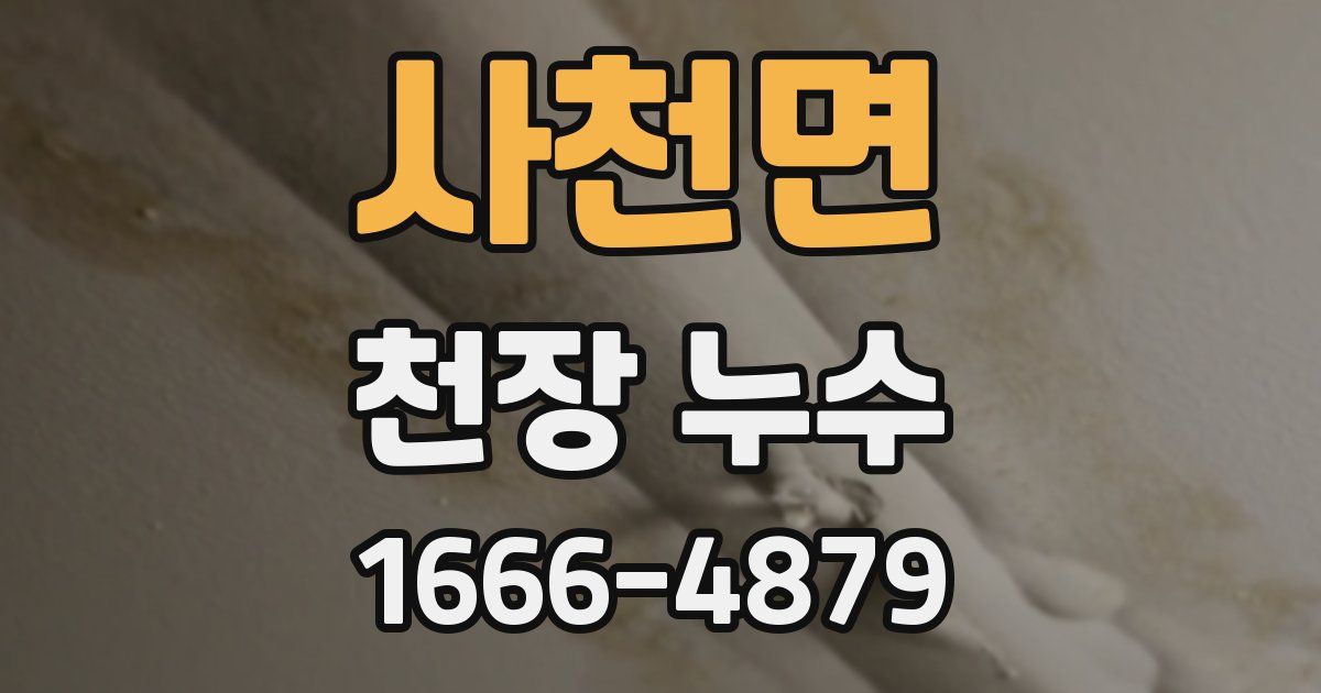 사천면 천장 누수