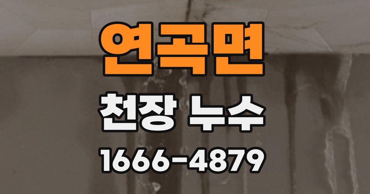 연곡면 천장 누수