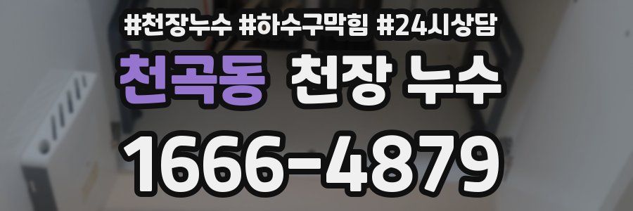 천곡동 천장 누수