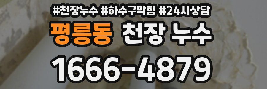 평릉동 천장 누수