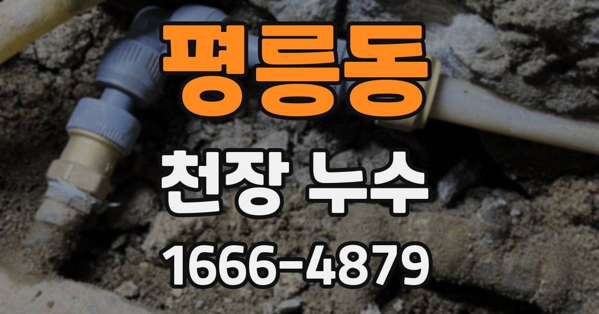 평릉동 천장 누수