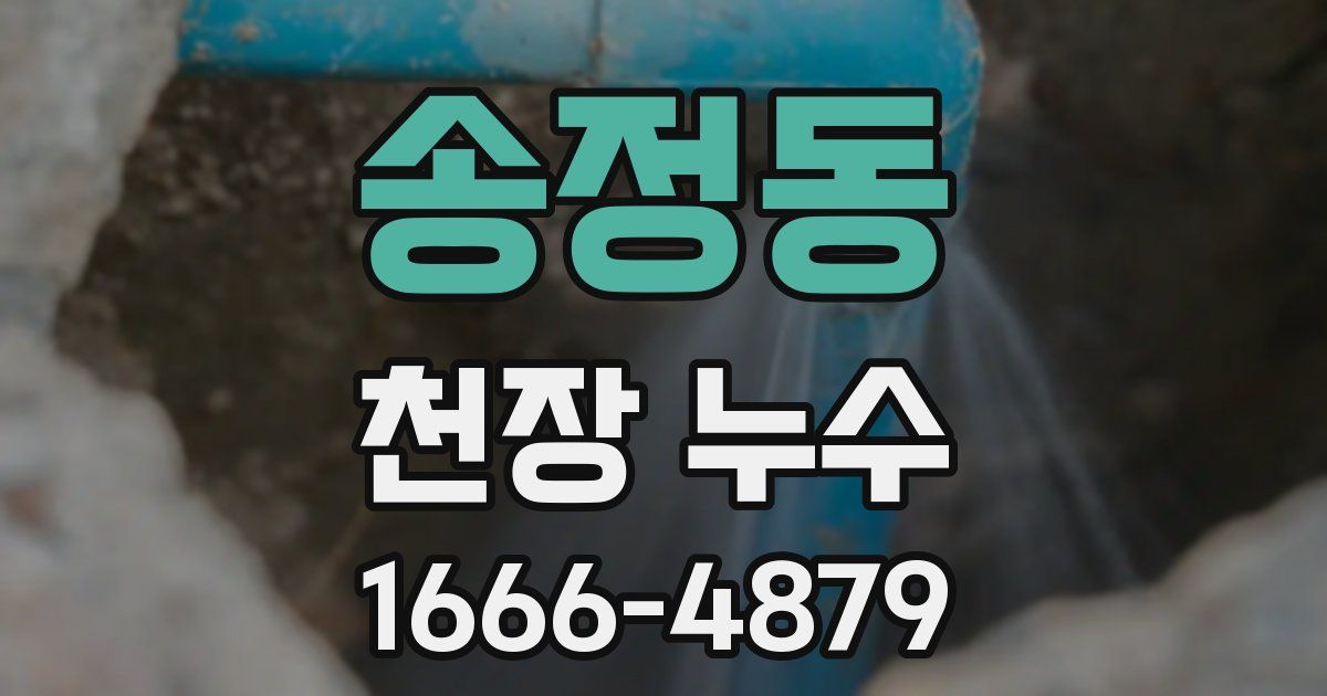 송정동 천장 누수