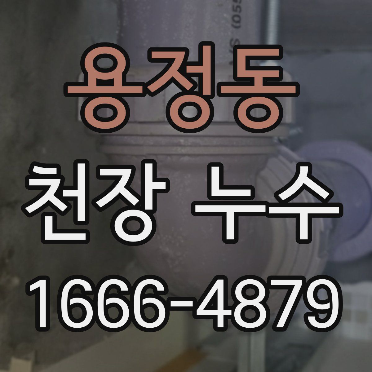 용정동 천장 누수