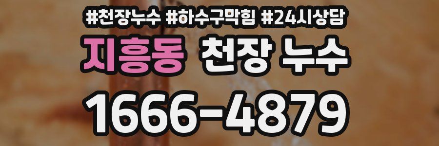 지흥동 천장 누수