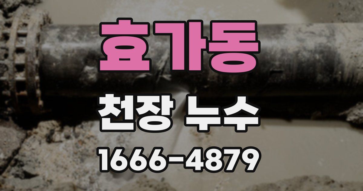 효가동 천장 누수