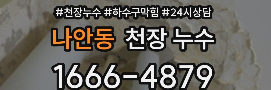 나안동 천장 누수