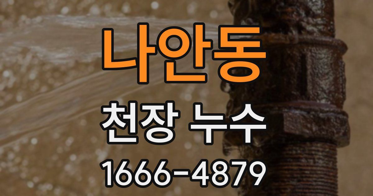 나안동 천장 누수