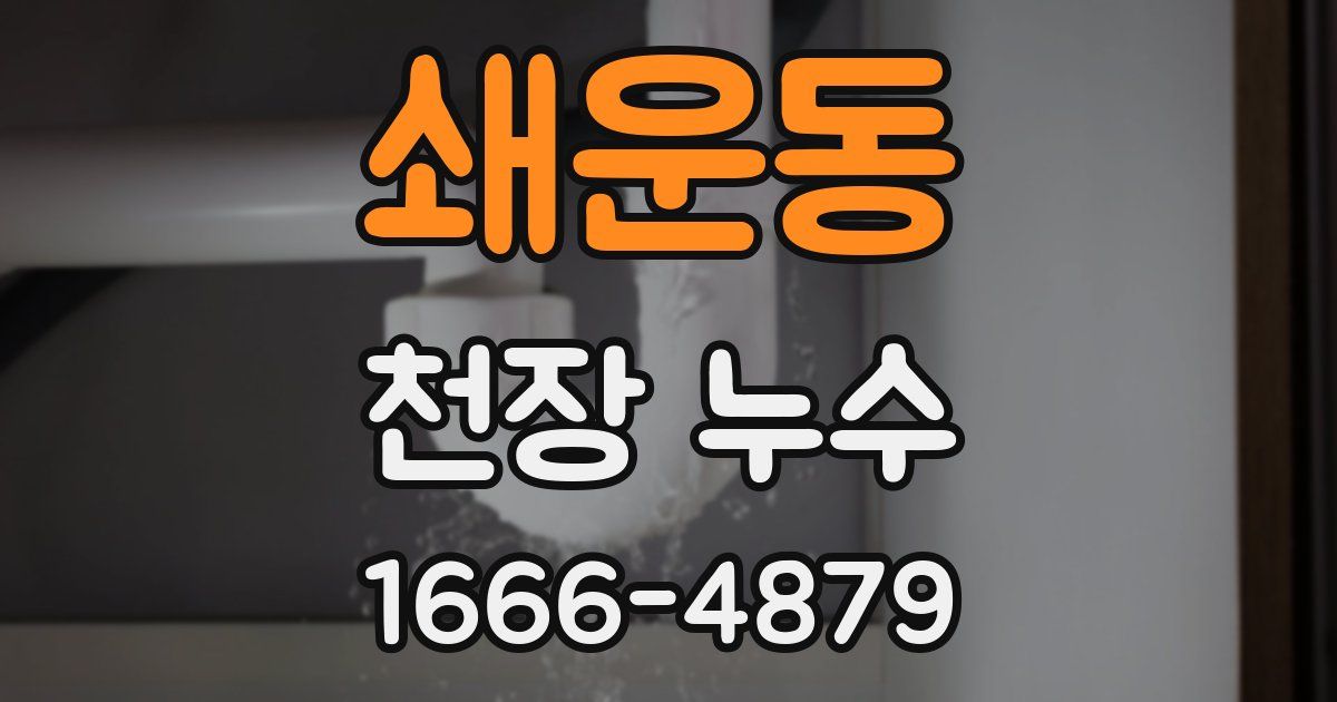 쇄운동 천장 누수