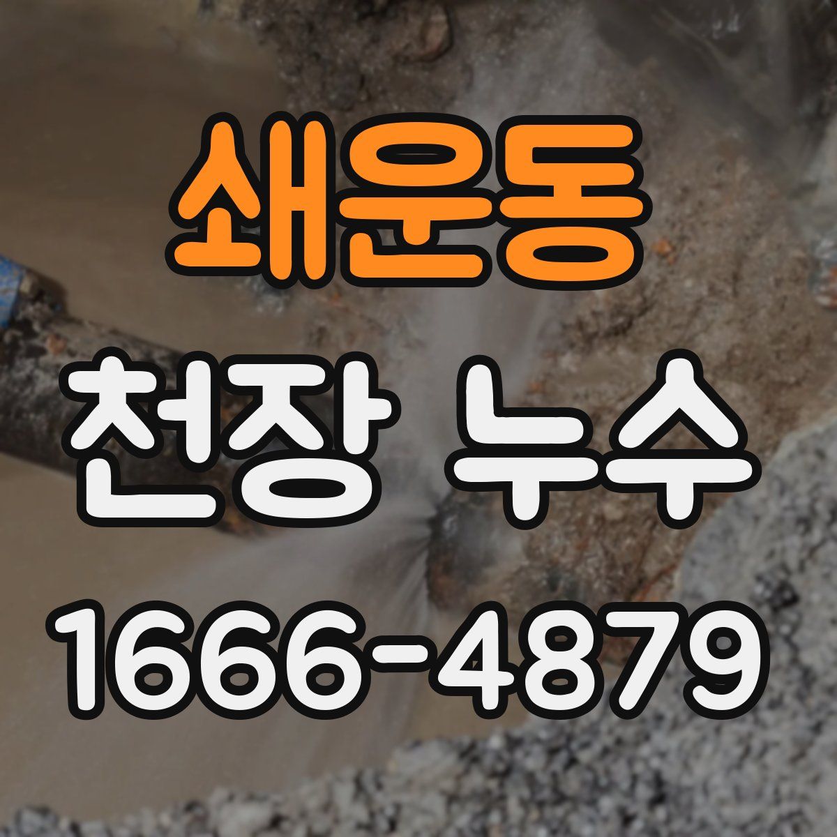 쇄운동 천장 누수