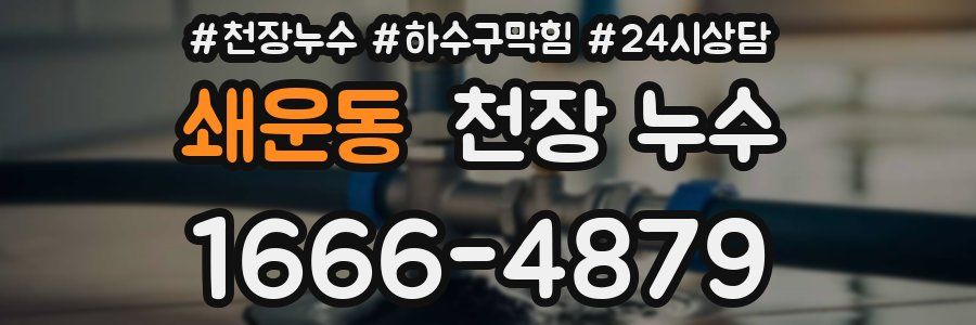 쇄운동 천장 누수