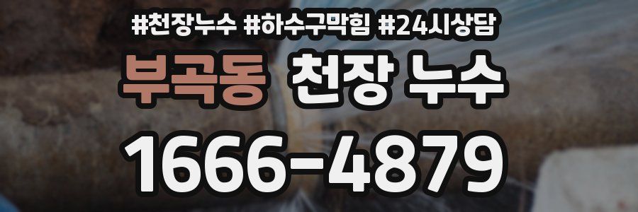 부곡동 천장 누수