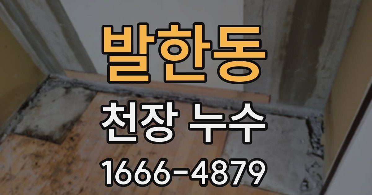 발한동 천장 누수