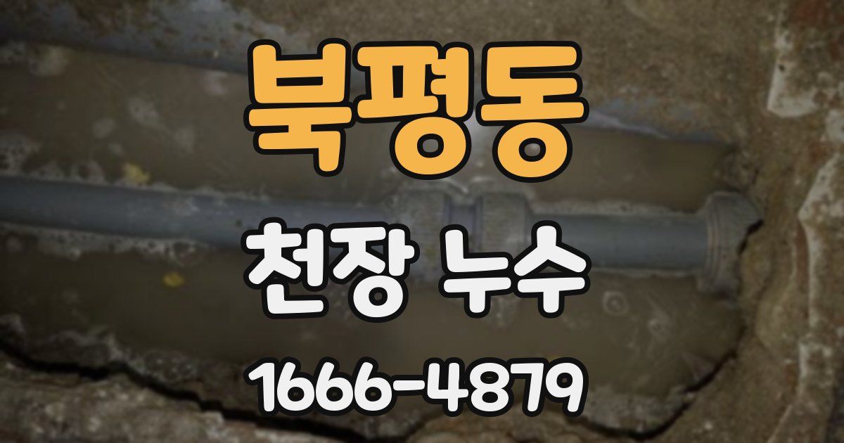 북평동 천장 누수