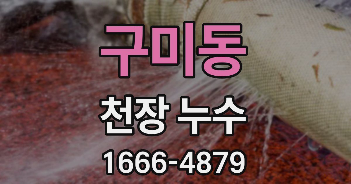 구미동 천장 누수