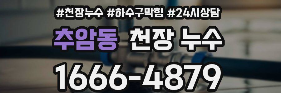 추암동 천장 누수