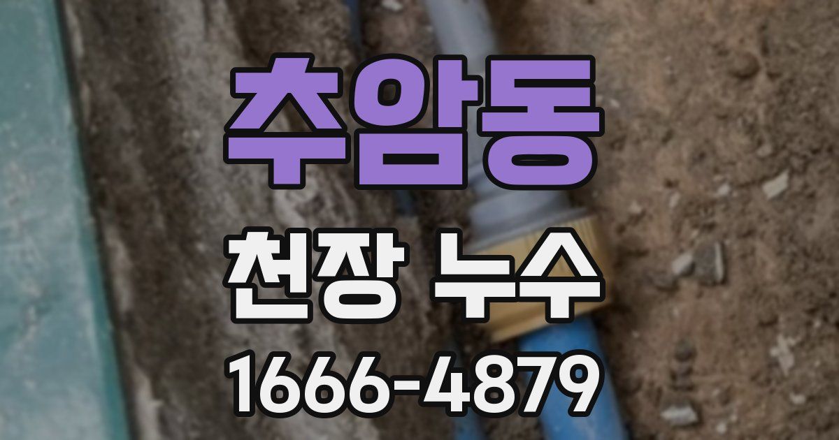 추암동 천장 누수